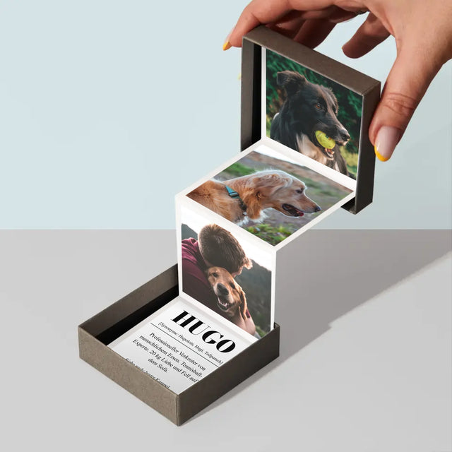 Foto Und Unterschrift: Haustier Definition - Fotobox