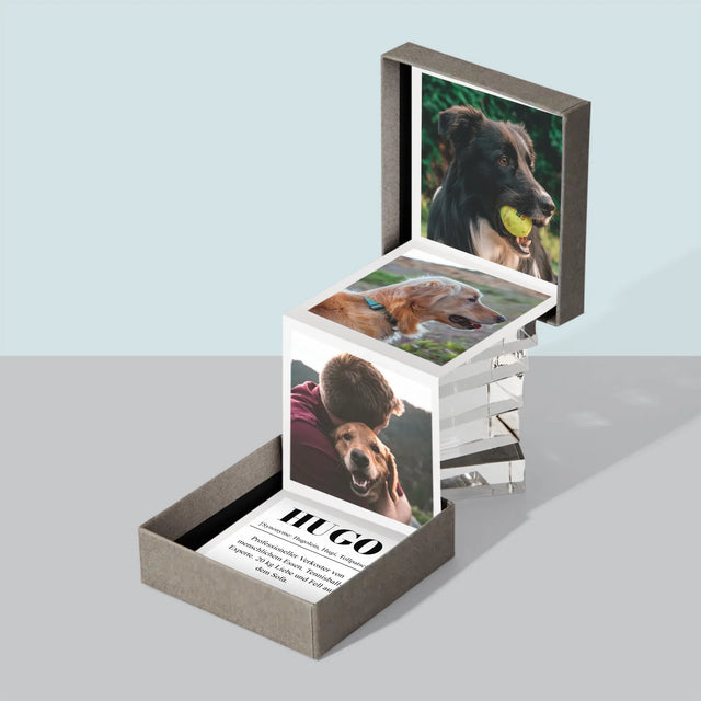 Foto Und Unterschrift: Haustier Definition - Fotobox