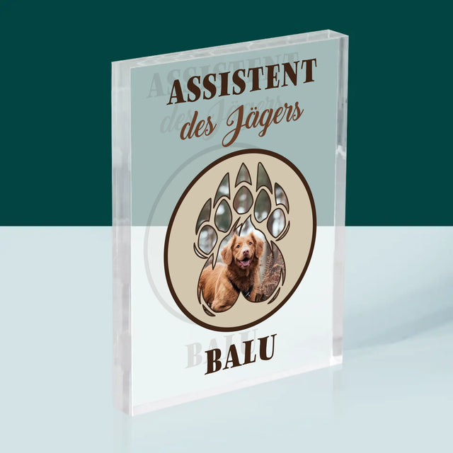 Form-Collage: Assistent Des Jägers - Druck Auf Acrylglas