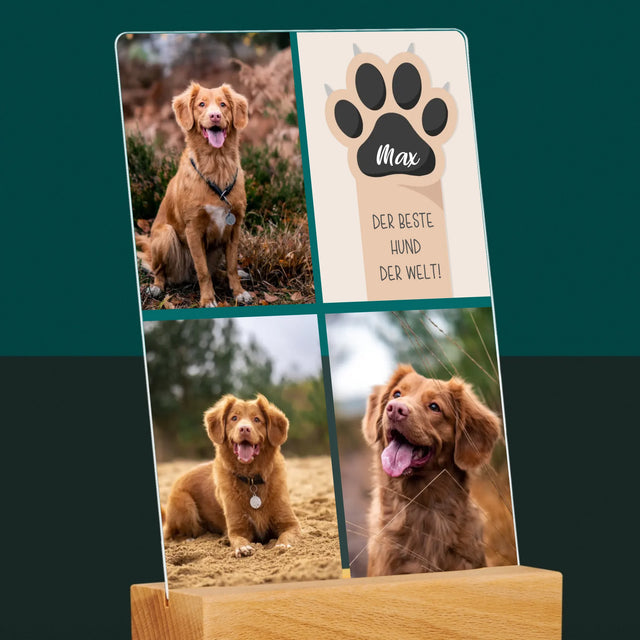 Fotocollage: Bester Hund - Druck Auf Acrylglas