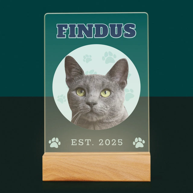 Ihr Avatar: Deine Uni-Katze - Druck Auf Acrylglas
