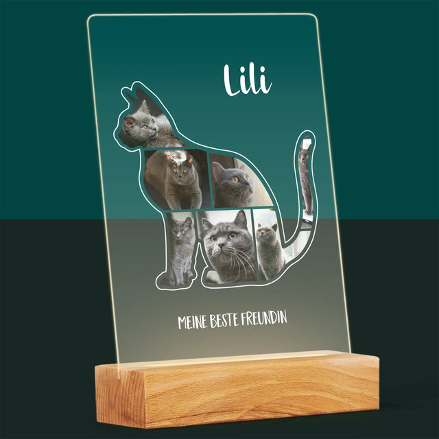 Form-Collage: Die Katze Der Beste Freund - Druck Auf Acrylglas