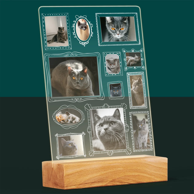 Fotocollage: Fotowand Mit Haustier - Druck Auf Acrylglas
