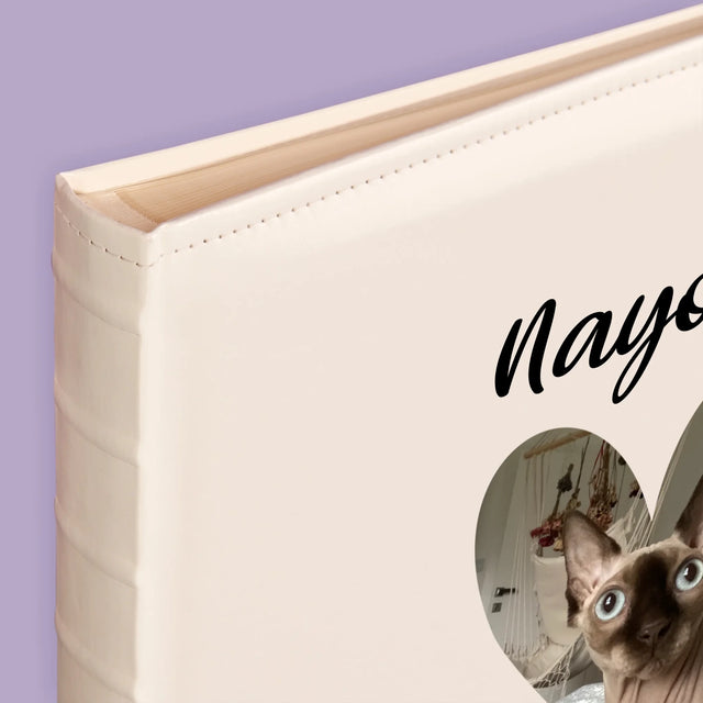 Foto Und Unterschrift: Katzenurkunde - Fotoalbum