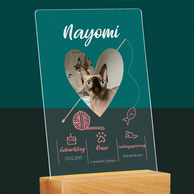 Foto Und Unterschrift: Katzenurkunde - Druck Auf Acrylglas